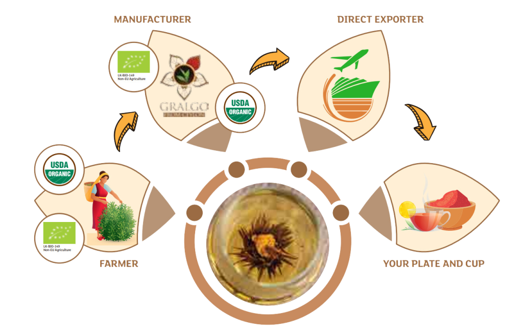 Gralgo supply chain, from farmer to manufacturer to direct exporter to your plate and cup